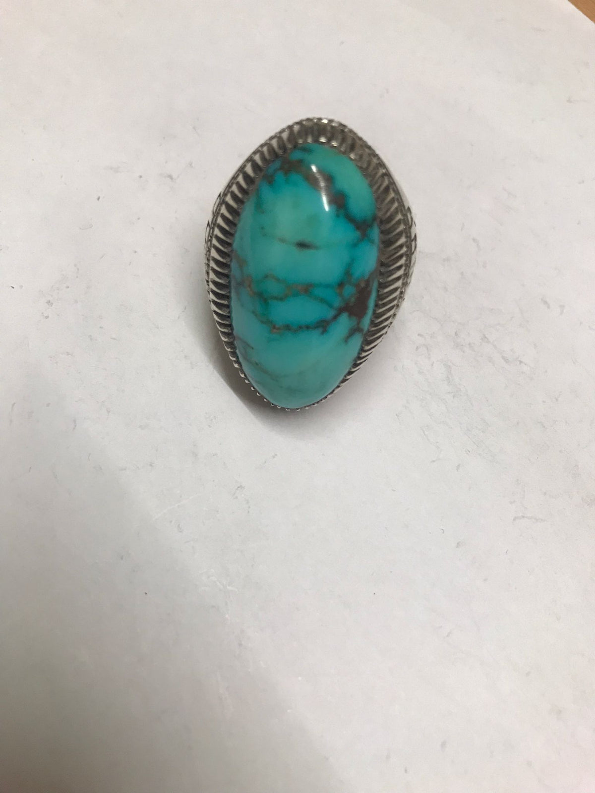 Shejri Hussani Turquoise